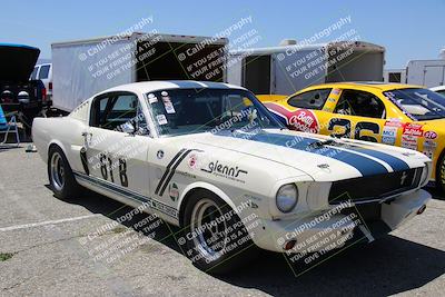 media/May-07-2022-Cobra Owners Club of America (Sat) [[e681d2ddb7]]/Around the Pits/